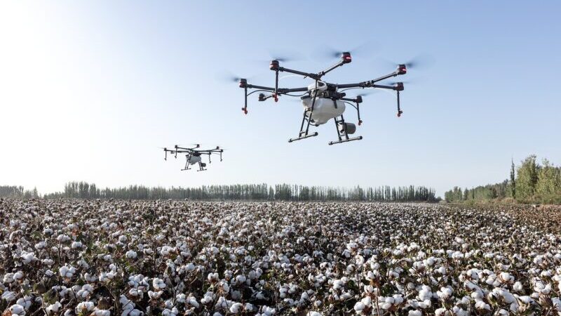 Leia mais sobre o artigo Drones na Agricultura: as lavouras vistas de cima