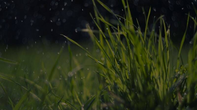 Leia mais sobre o artigo Maio terá uma chuva de meteoros e Mercúrio em destaque no céu.